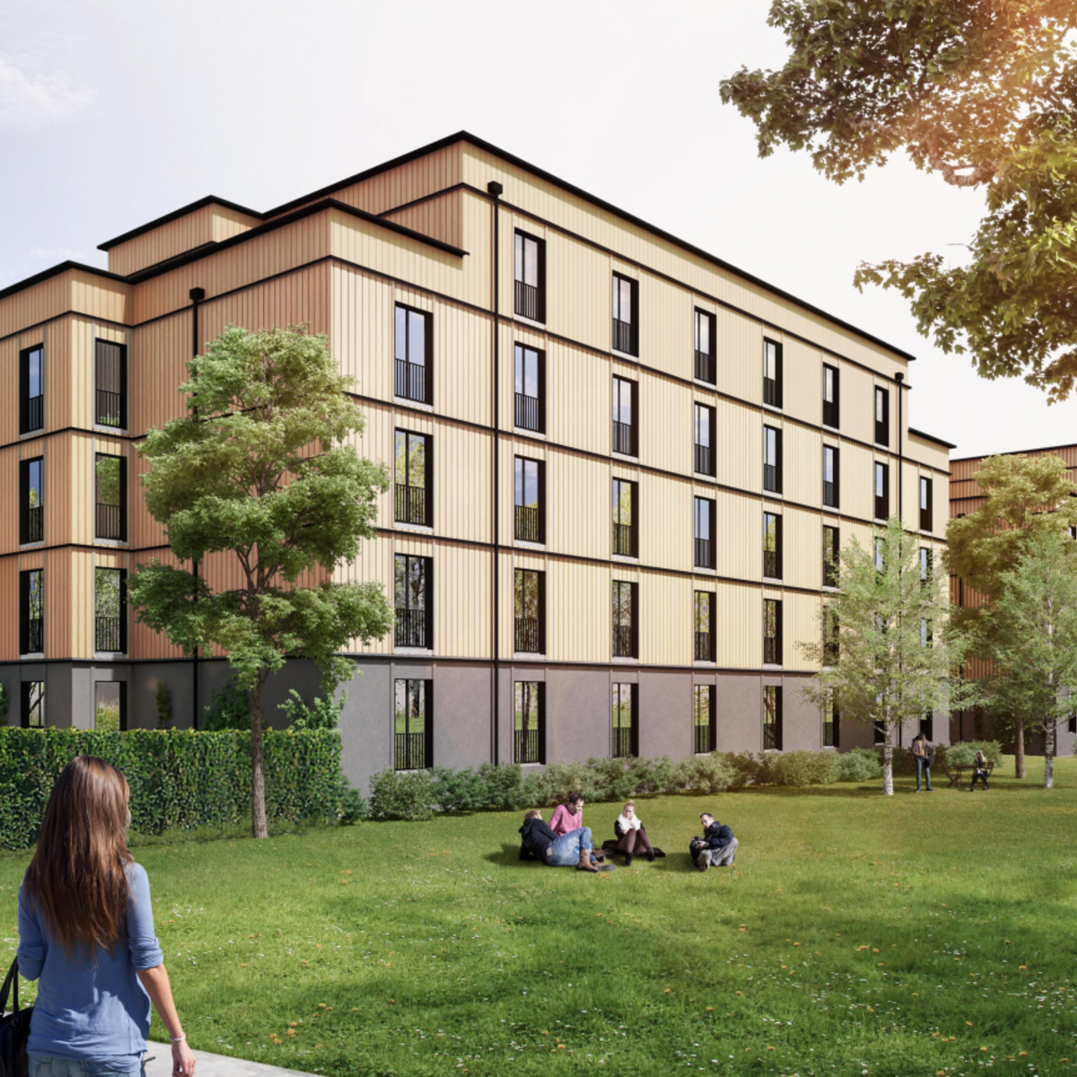 Visualization of timber construction housing.