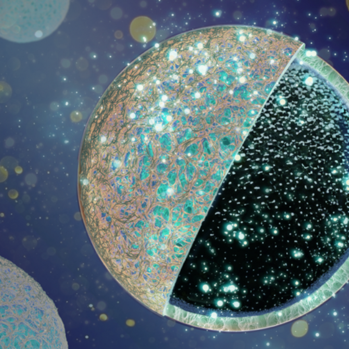 An outer protective layer shields the porous core of the carbon anode from unwanted deposits, thereby increasing the battery's performance.