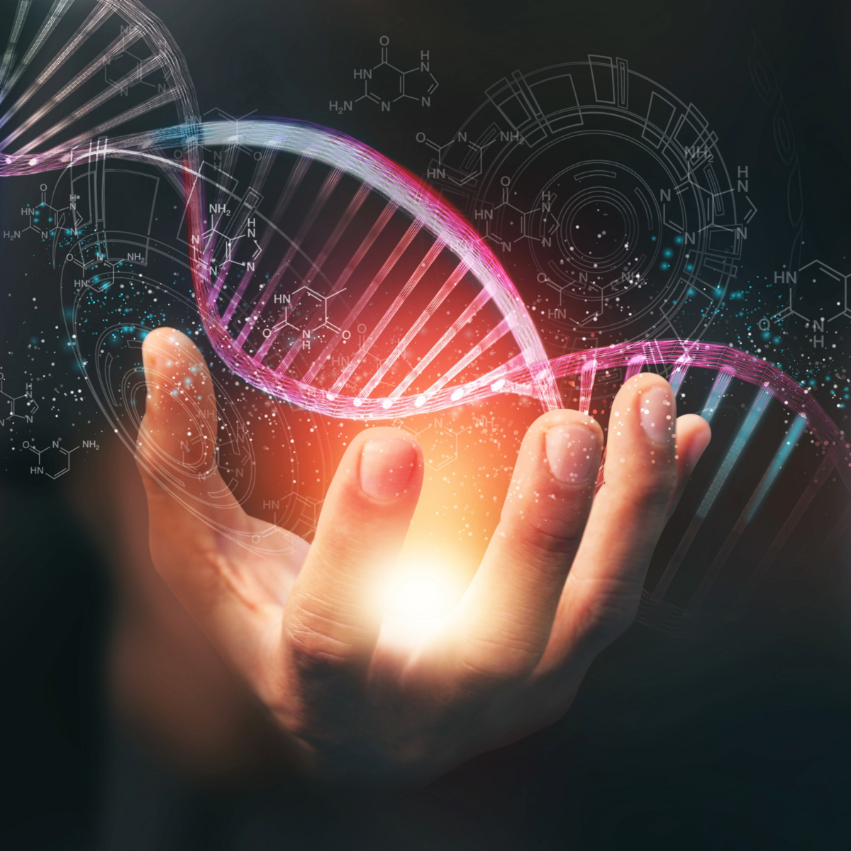 Animated graphic showing an open hand. A light emanates from the hand, illuminating a DNA helix above the hand.