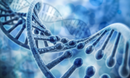 The image shows an animation of a DNA strand.