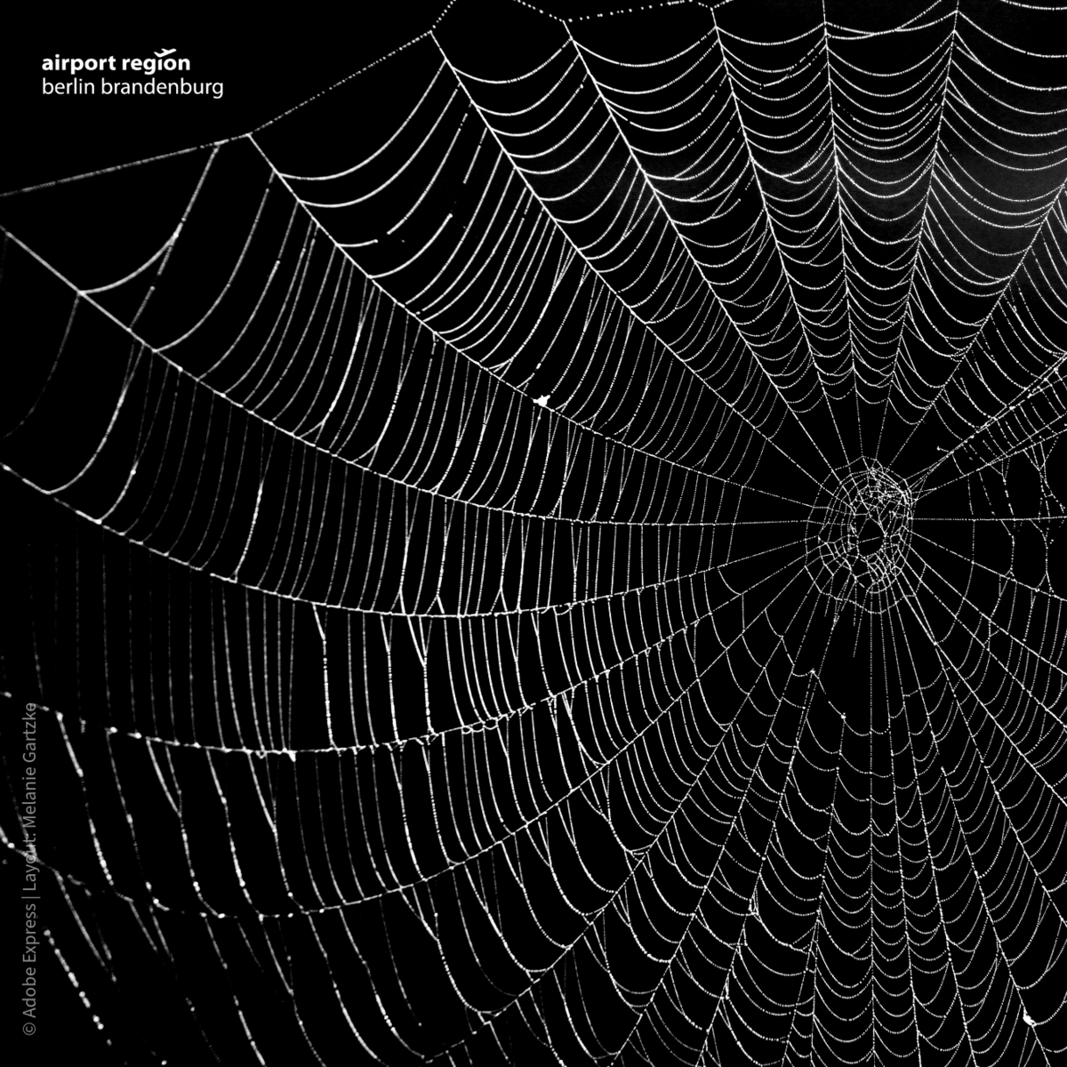 Picture shows a spider's web against a black background