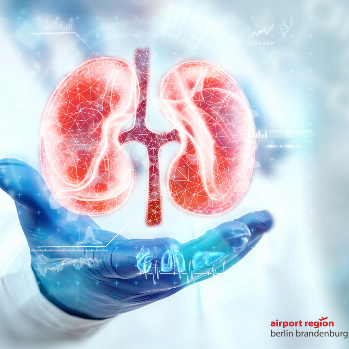 Image showing a hand in medical gloves. A human silhouette is blurred in the background. Above it hovers the animation of a human kidney. Data and diagrams appear very finely around it, which make allegorical statements about this kidney.