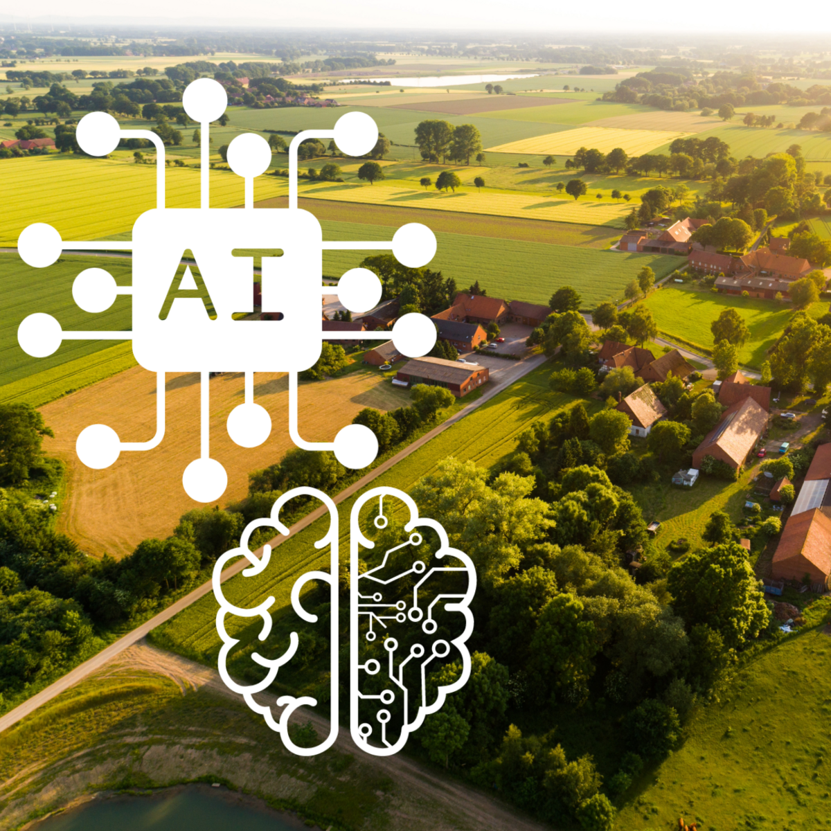 Image shows an aerial view of a rural region. You can see a small cluster of houses surrounded by fields and trees. The picture suggests a beautiful evening atmosphere. Above it is a graphic that stands for artificial intelligence. The picture is a symbolic image for AI in the countryside.