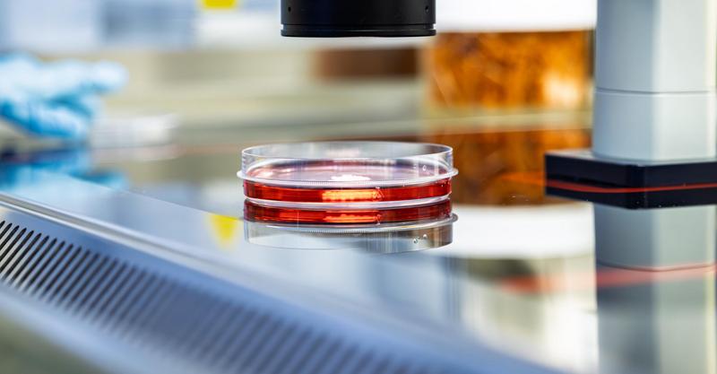 Promotional image for the announcement: The "Center for AI–Accelerated Molecular Innovations in Medicine" is being established at the Max Delbrück Center – Vessels with liquids.